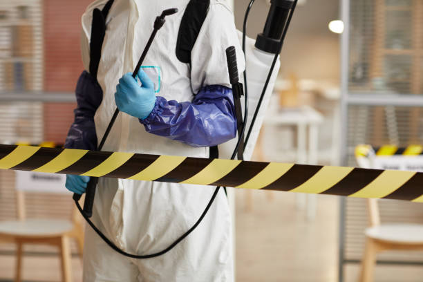 Professional Sewage Cleanup technician working in Lompoc, CA